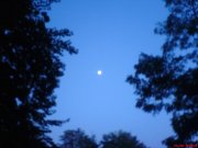 DSC01371.jpg