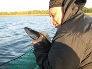 новичек 26.09.10 003.jpg