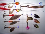 100_1543.JPG