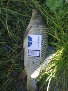 28092010185.jpg