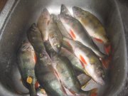 IMG_0003_8.jpg