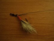 DSC02613.JPG