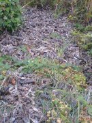 DSC01363.JPG