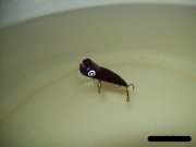 1285790171.jpg