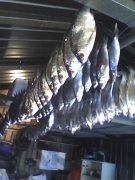 03-10-10_1235.jpg