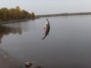 SDC13413.JPG