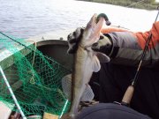 DSC02669.JPG