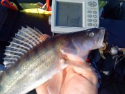 DSC00403.jpg