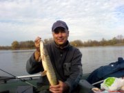 DSC01398.jpg