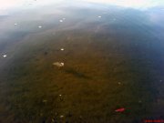 DSC01403.jpg
