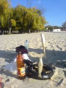 DSC01407.jpg