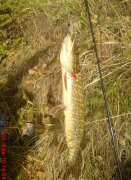 DSC02589.jpg