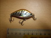 DSCN6530.jpg