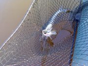 DSC00433.jpg