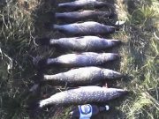 31-10-10_1609.jpeg
