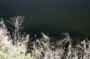 IMG_8023.JPG