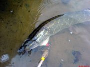 DSC01434.jpg