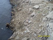 SDC10052.jpg