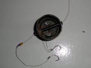 100_1163.jpg