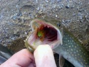 20101112_150716.jpg