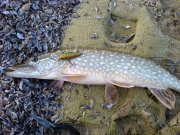 20101112_150827.jpg