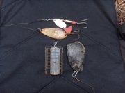 SDC13497.jpg