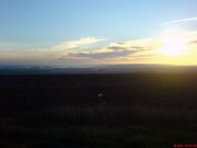 DSC01452.jpg