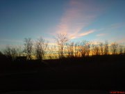 DSC01456.jpg