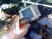DSC00455.jpg