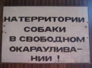 1289756238_1253555058_303901.jpg