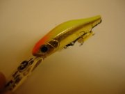 DSC00033.JPG