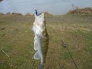 DSC00291.jpg