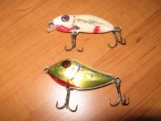 IMG_2157.jpg