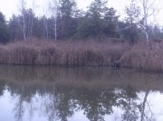SDC13589.jpg