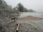 IMG_0011.jpg