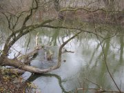 IMG_0027.jpg