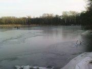 DSC04040.jpg