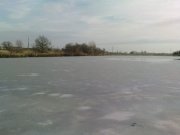 DSC04062.jpg