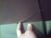 DSC01481.jpg