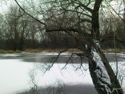 DSC04142.jpg