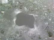 DSC04164.jpg