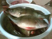 20122010(003).jpg