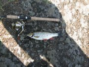 IMG_1526~1.jpg