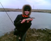Зобр090.jpg