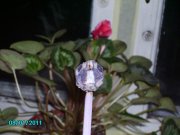 PICT3148.jpg