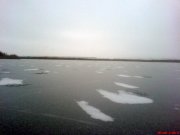 DSC01502.jpg