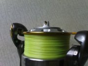 DSC01153.JPG