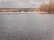 SDC13880.jpg