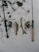 IMG_3290.JPG