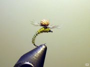 275082--31827229-m750x740.jpg